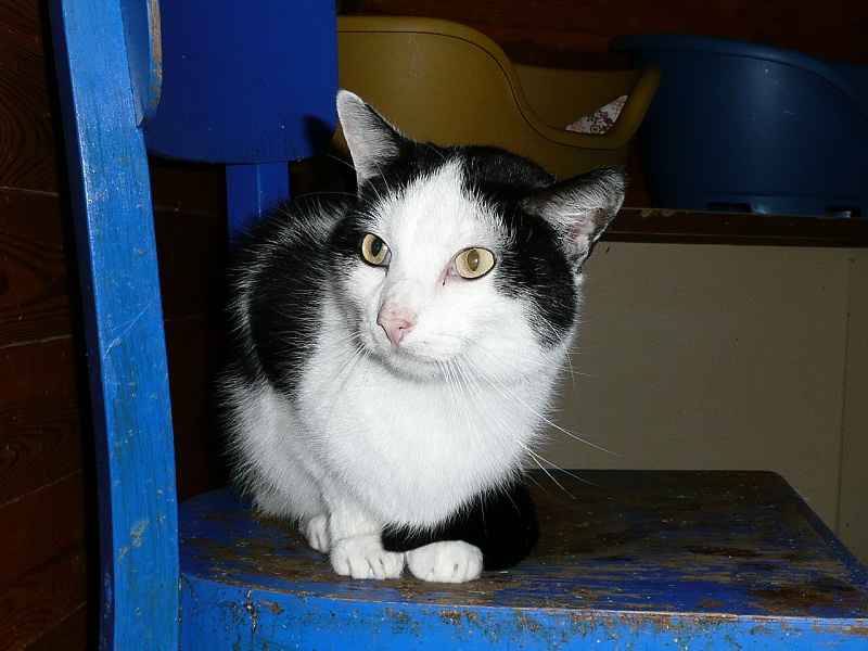 Sam