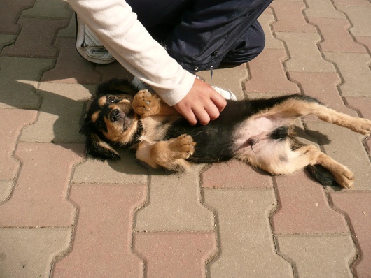 Foto